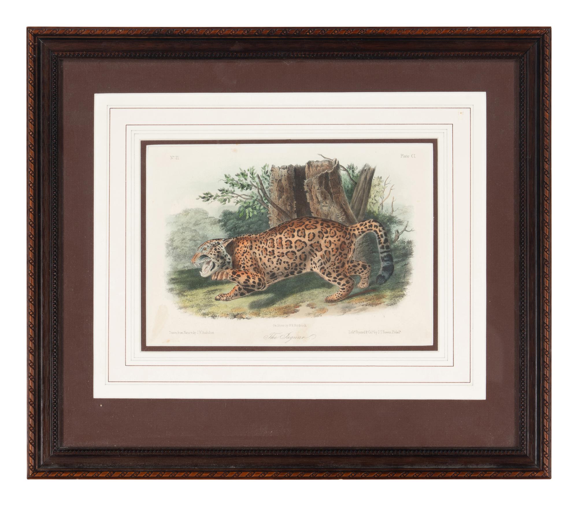 [Prints] Audubon, John James Group of 6 Lithographs from the Quadrupeds of America