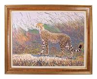 Cheetah