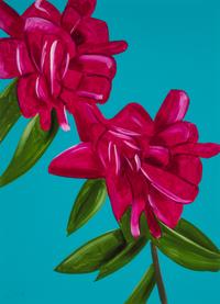 Peonies , 2021