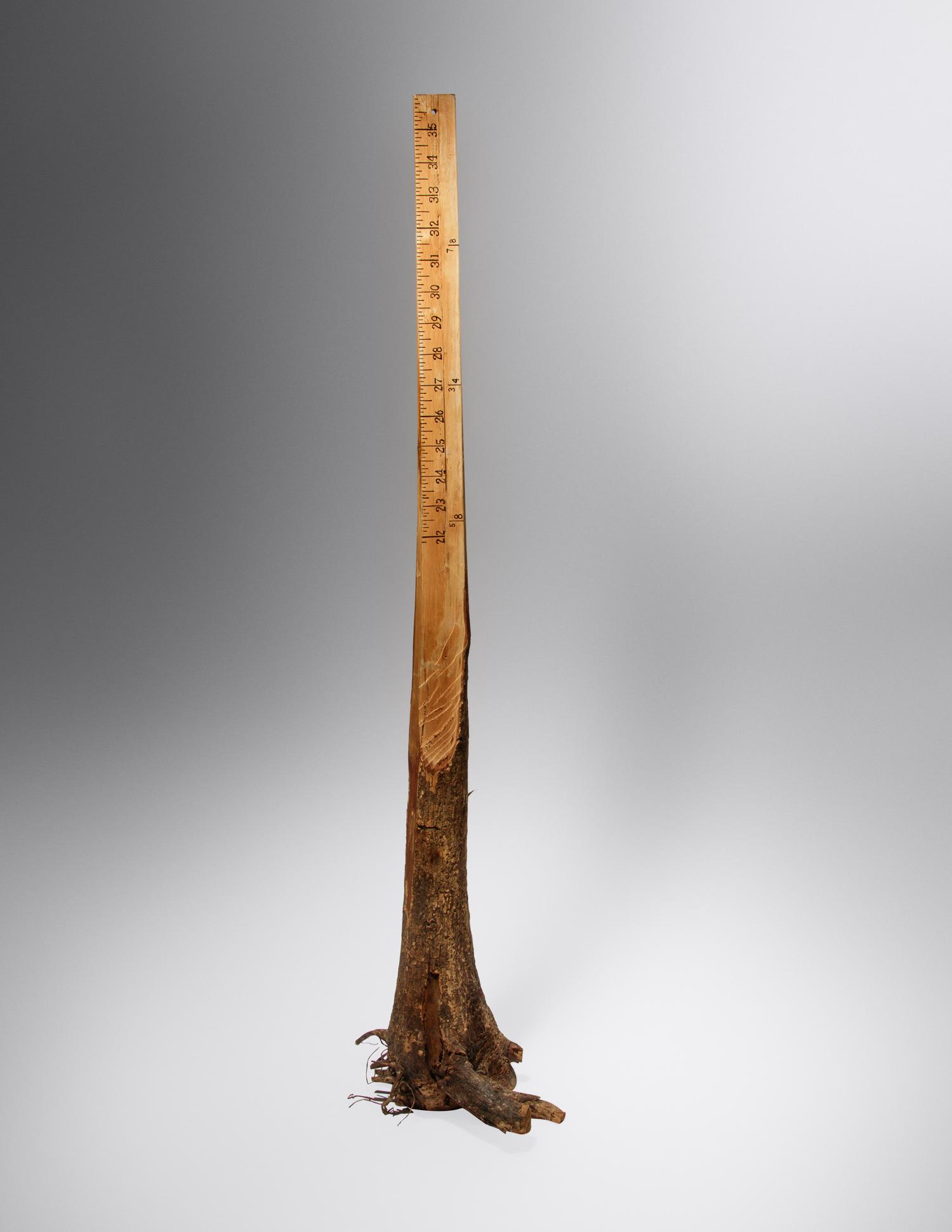Ruler