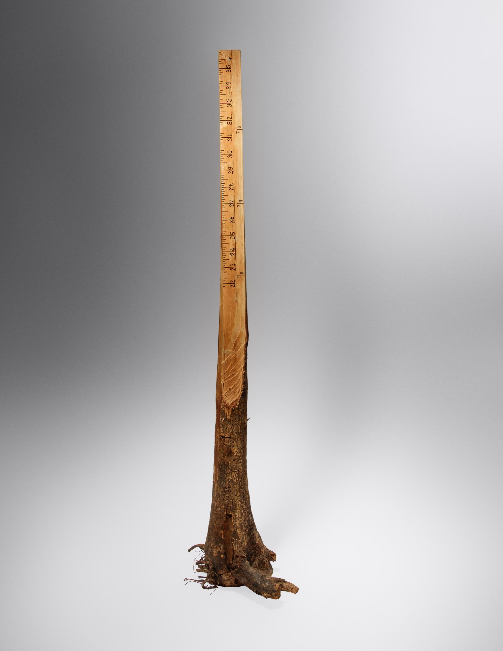 Ruler