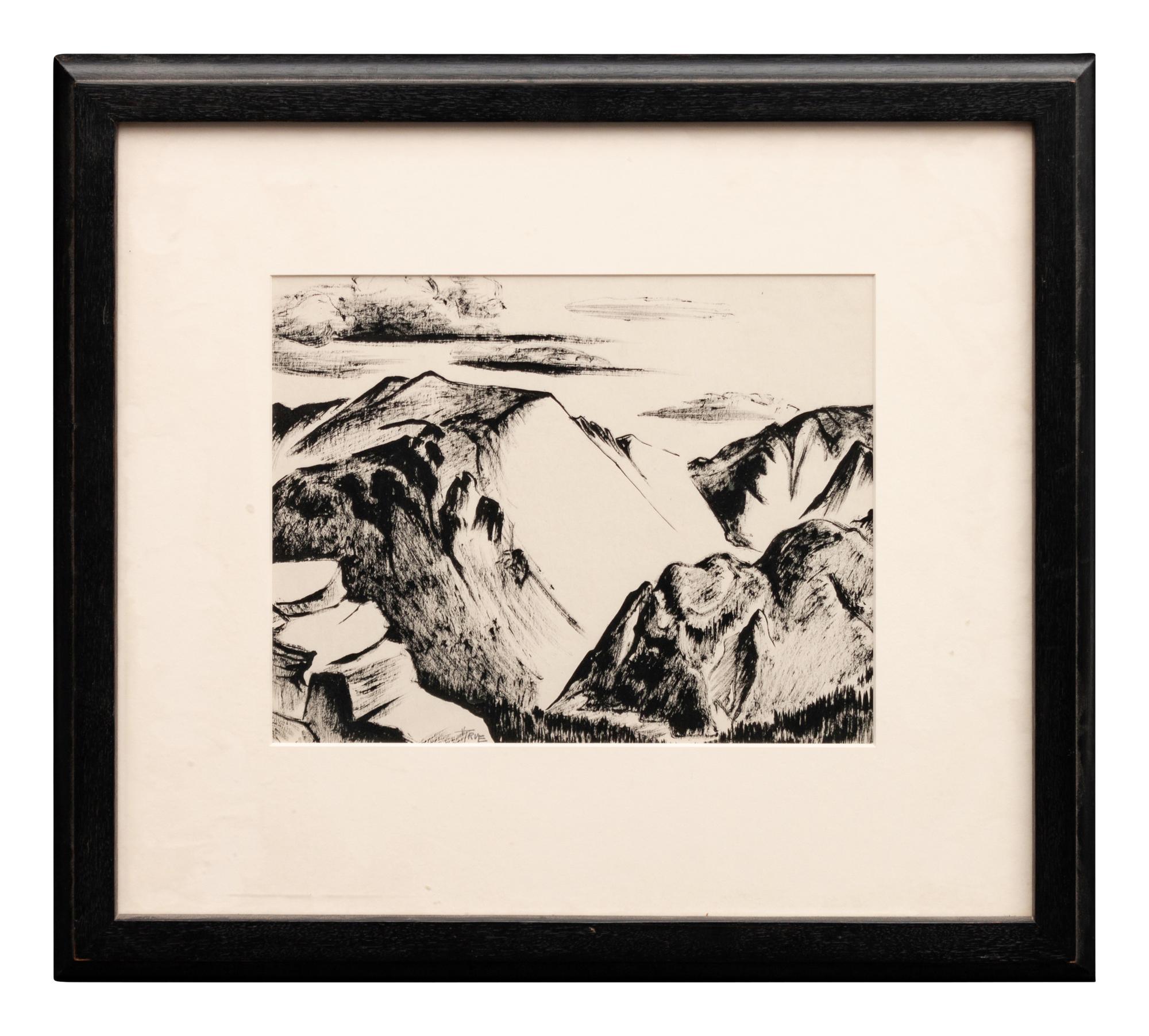 New Mexico Landscape #2