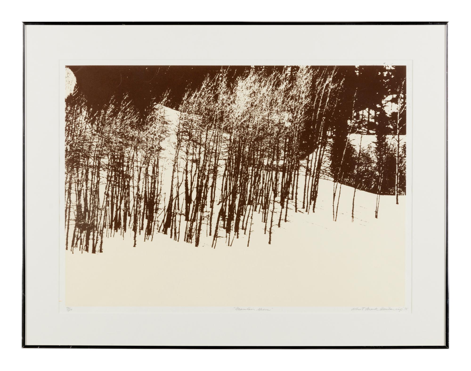 Mountain Grove, 1975 and Sunflowers After, 1972