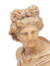 An Italian Alabaster Bust of Apollo Belvedere