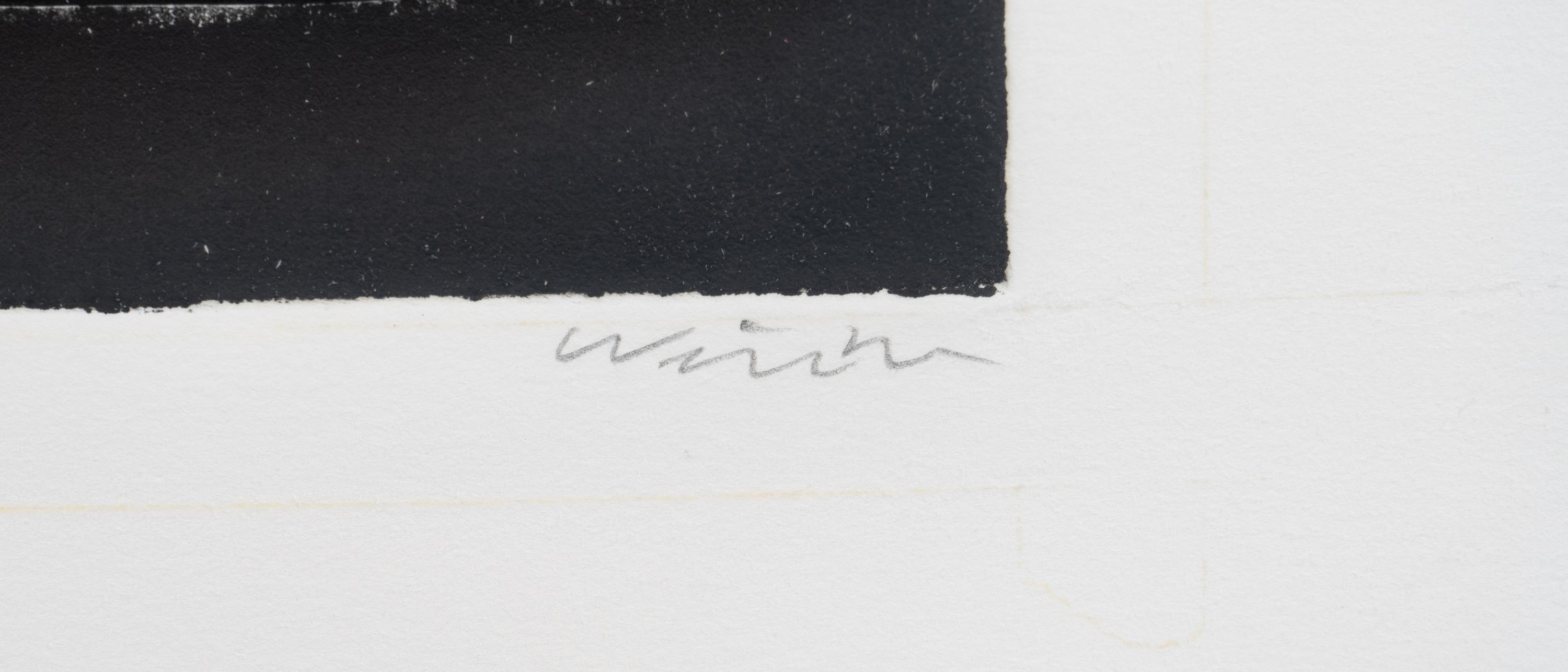 Untitled (wt9)