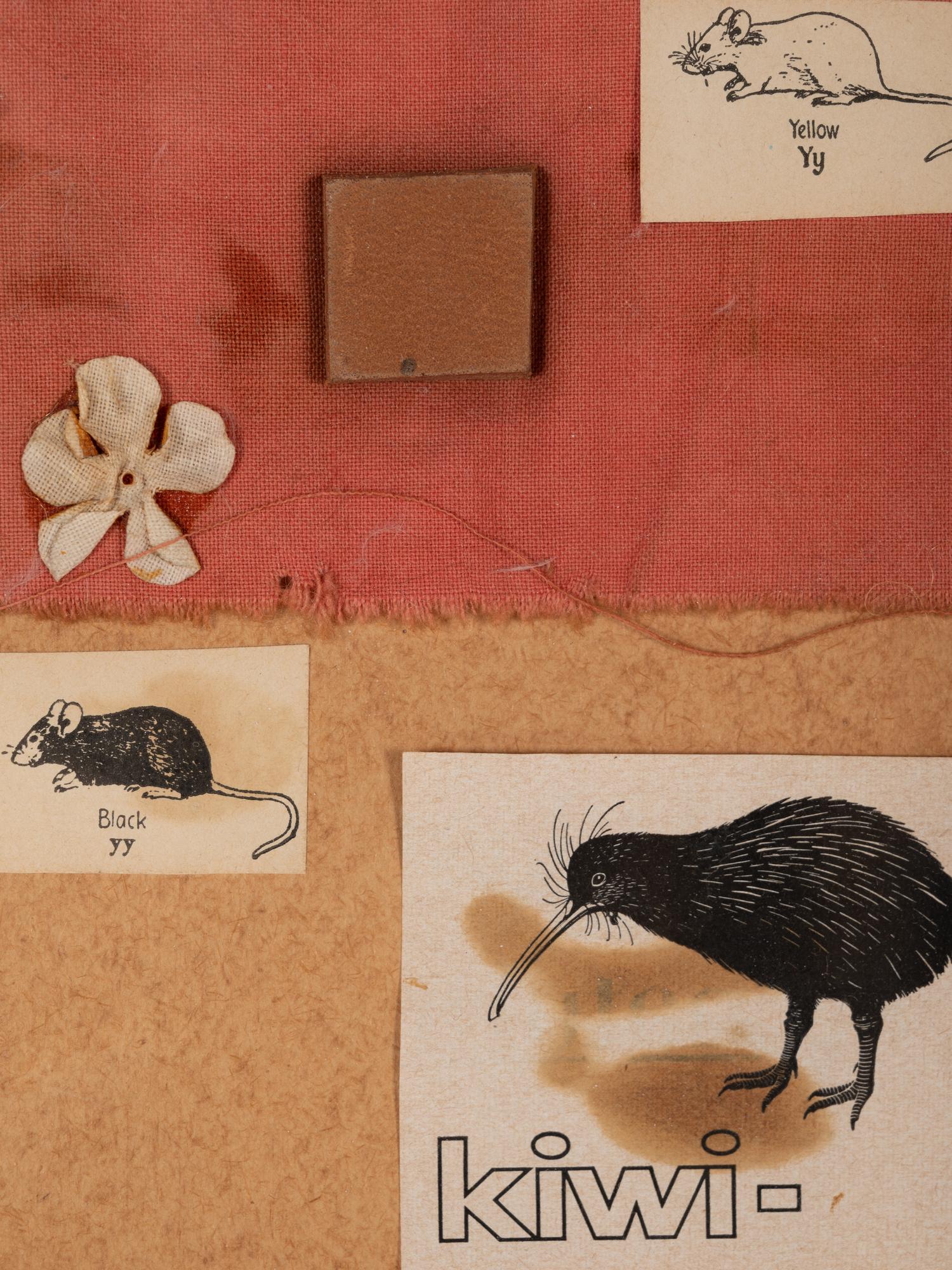 Two Mice and a Kiwi