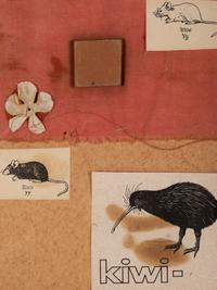Two Mice and a Kiwi