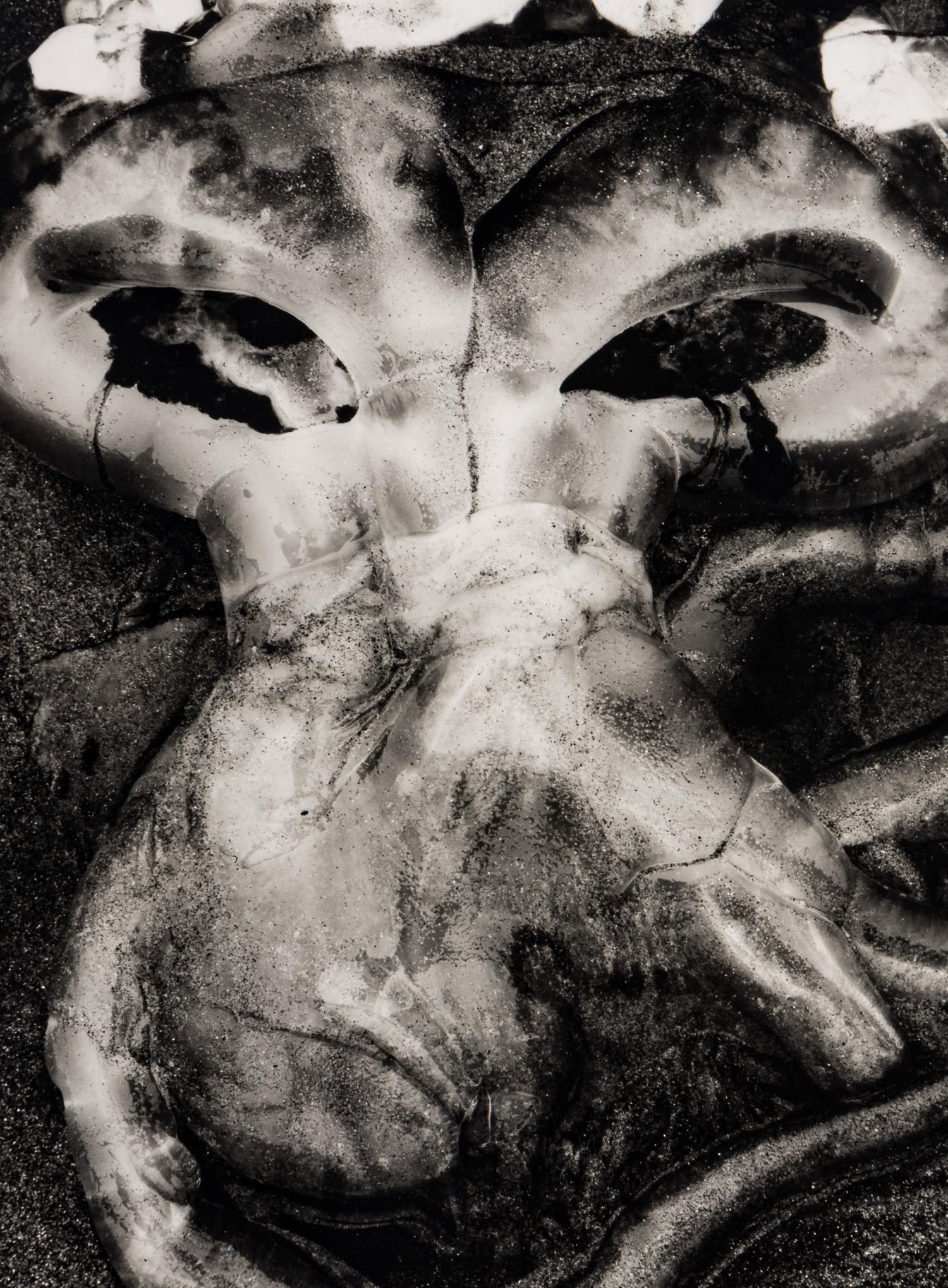 Brett Weston (1911-1993) Jellyfish, 1967