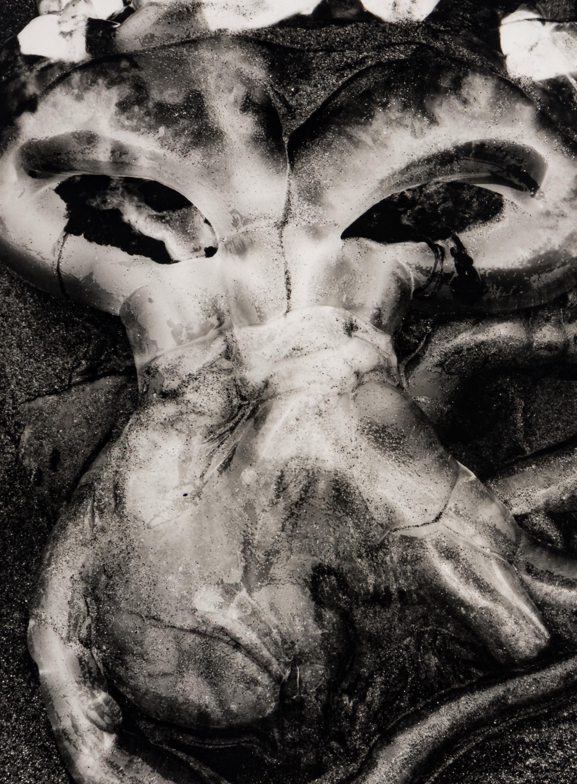 Brett Weston (1911-1993) Jellyfish, 1967