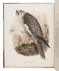Elliot, Daniel Giraud. The New and Heretofore Unfigured Species of the Birds of North America