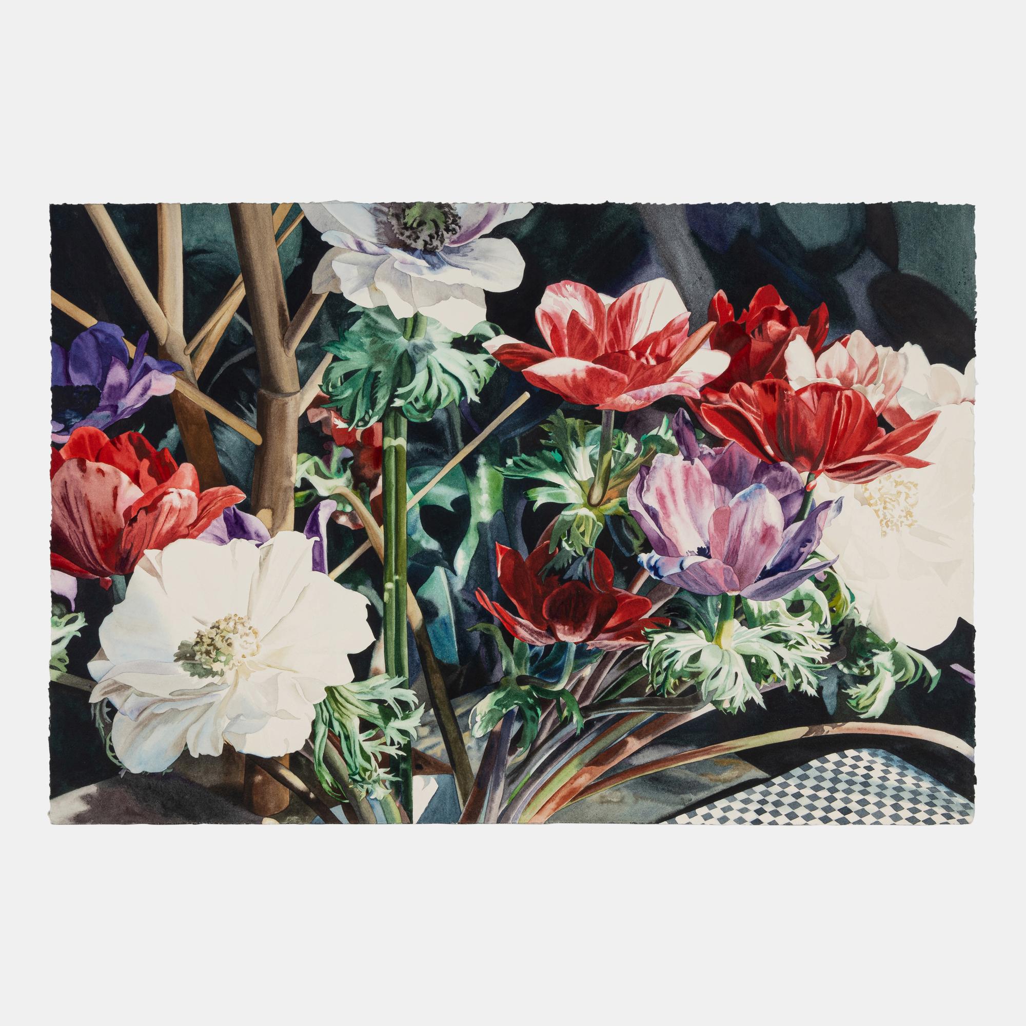 Anemones with Checks I , 1979