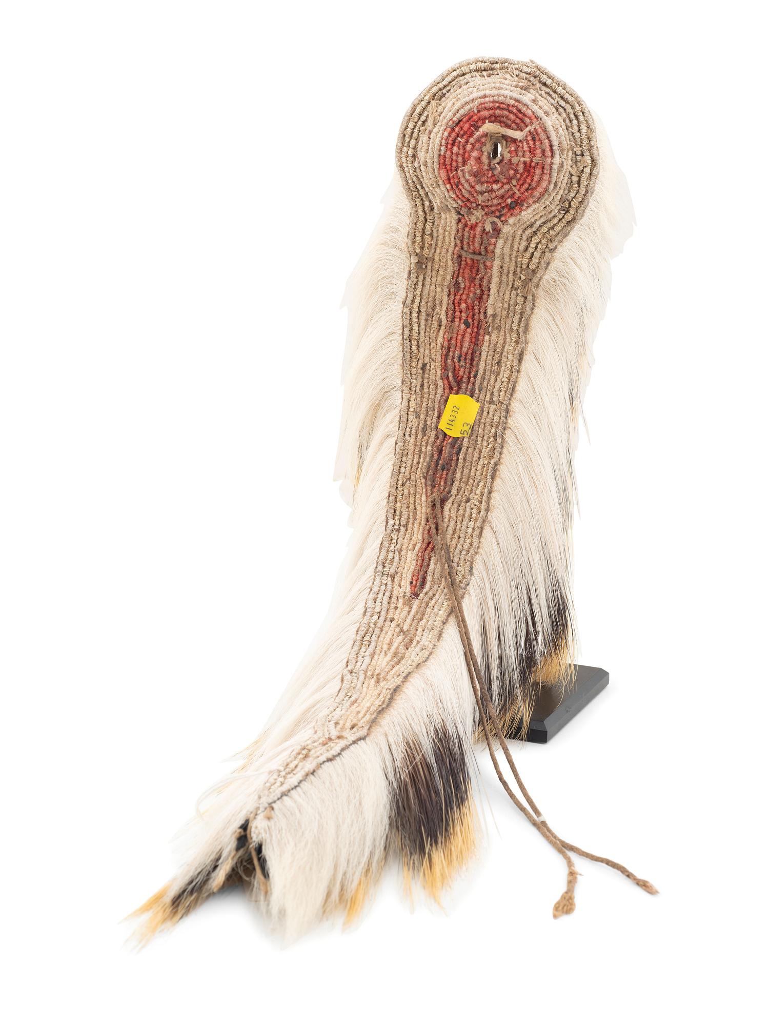 Plains Porcupine Hair Roach
