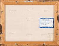 Three Framed Groups of Lepidopterological Specimens
