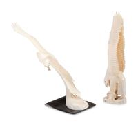 Walrus Ivory Sculptures
