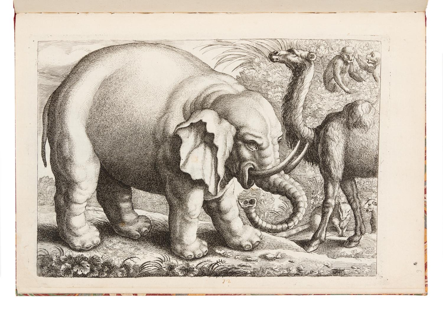 BARLOW, Francis (ca 1626-1704). Livre de plusieurs Animaux Inventez par Barlou. [Paris:] Chez De Poilly [ca 1675].