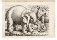 BARLOW, Francis (ca 1626-1704). Livre de plusieurs Animaux Inventez par Barlou. [Paris:] Chez De Poilly [ca 1675].