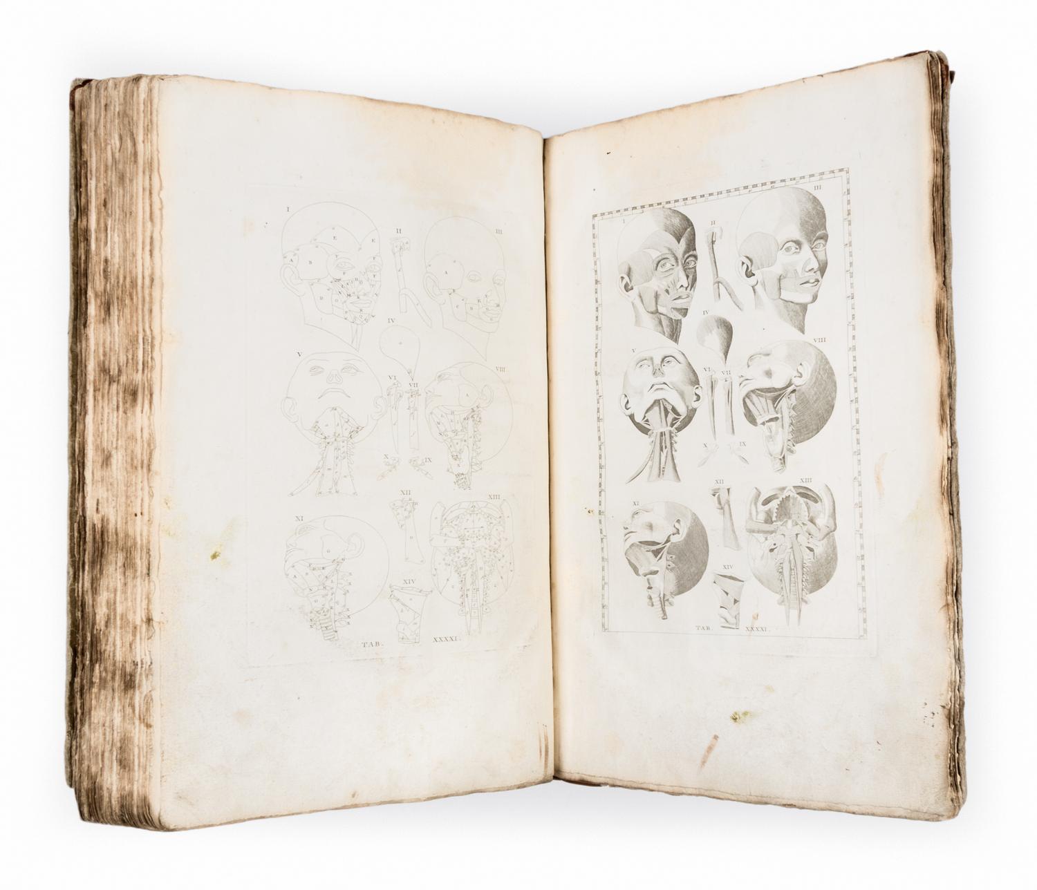 (ANATOMY) EUSTACHI, BARTOLOMEO and BERNHARD ALBINUS. Bernardi Siegfried Albini...Leiden, 1761. Second edition.