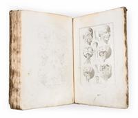 (ANATOMY) EUSTACHI, BARTOLOMEO and BERNHARD ALBINUS. Bernardi Siegfried Albini...Leiden, 1761. Second edition.