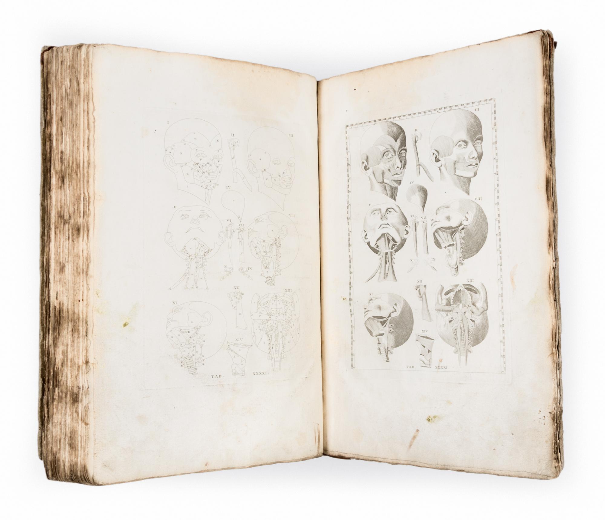 (ANATOMY) EUSTACHI, BARTOLOMEO and BERNHARD ALBINUS. Bernardi Siegfried Albini...Leiden, 1761. Second edition.