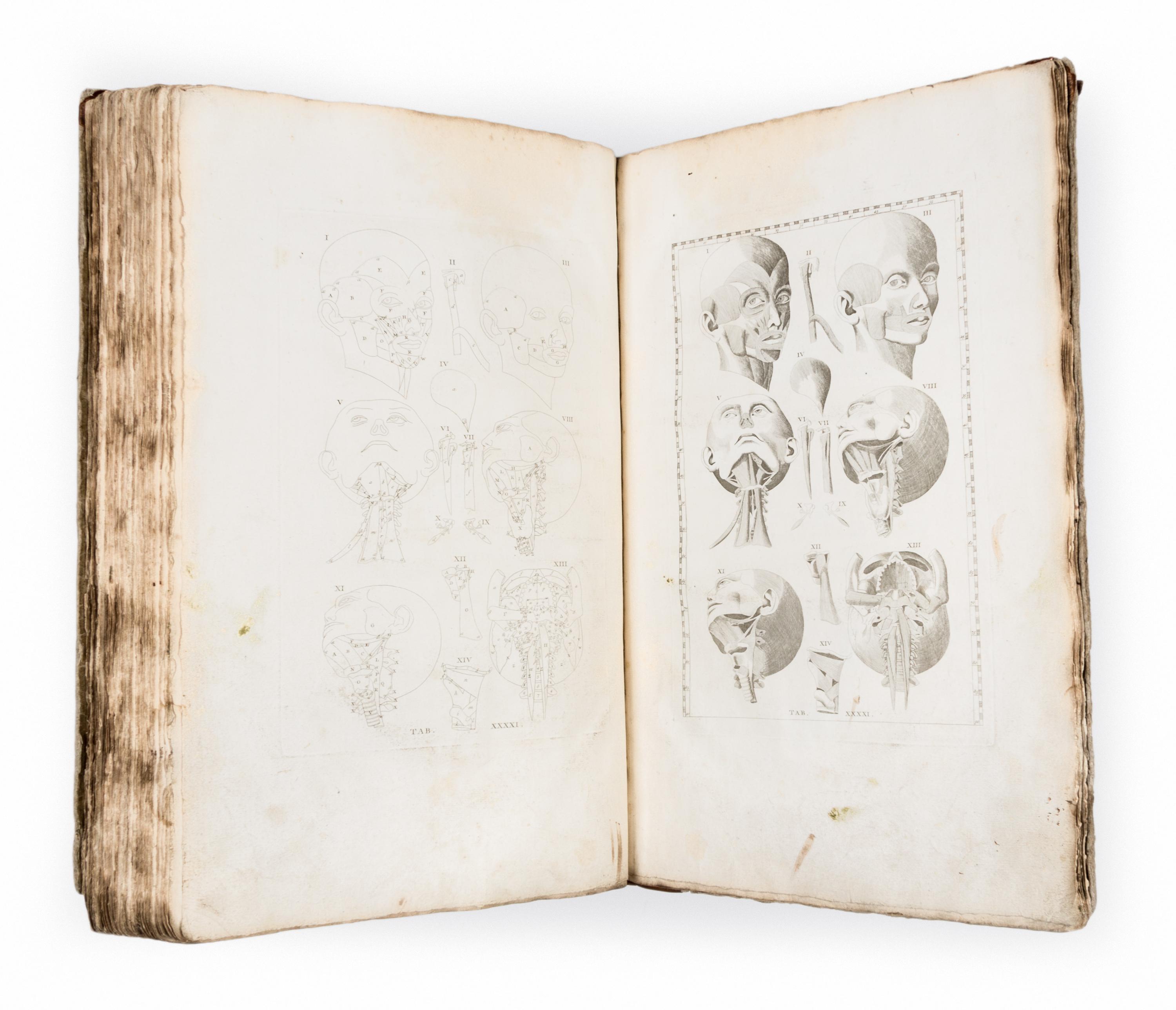 (ANATOMY) EUSTACHI, BARTOLOMEO and BERNHARD ALBINUS. Bernardi Siegfried Albini...Leiden, 1761. Second edition.