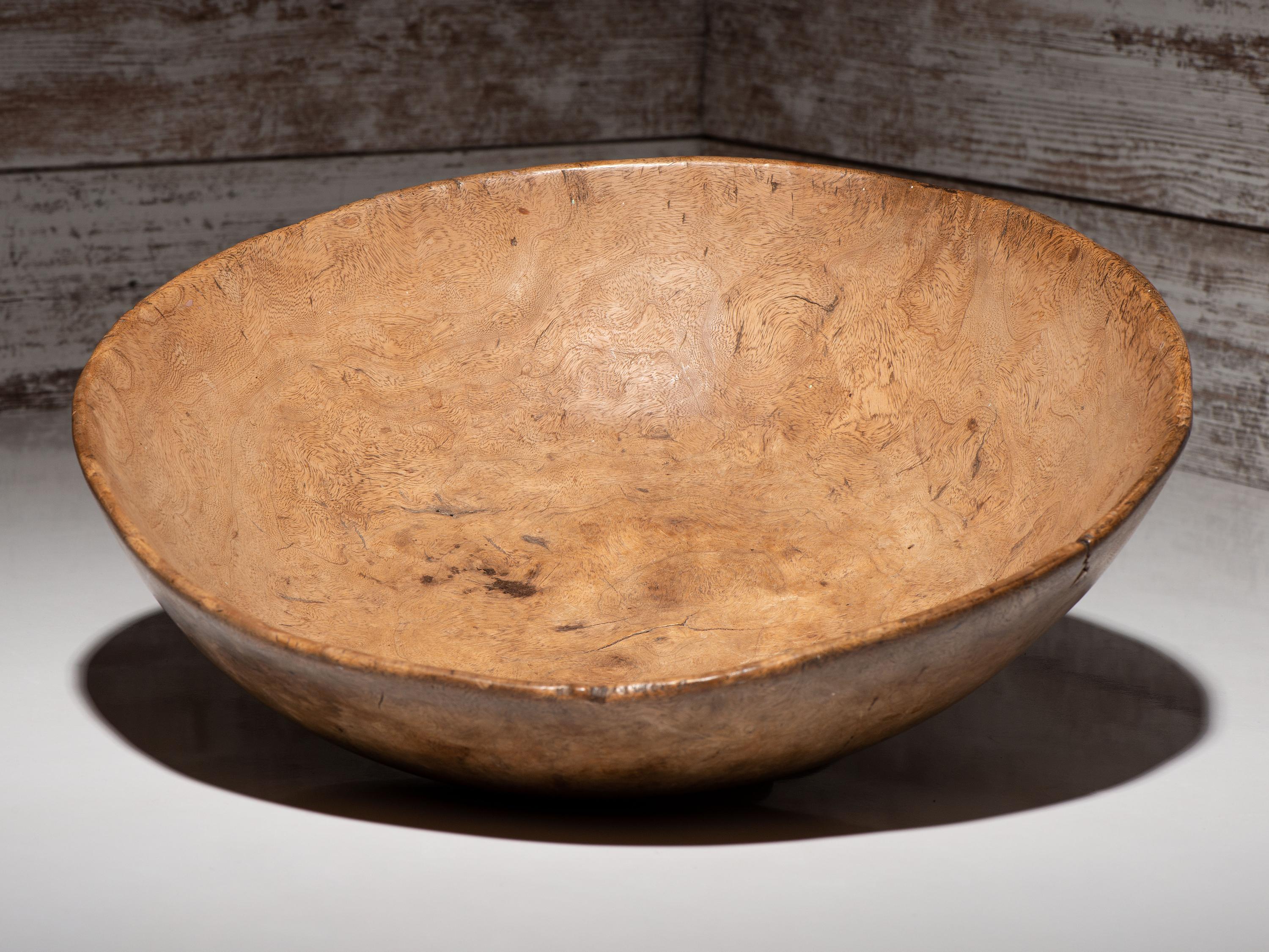 Algonquin Elm Burl Bowl