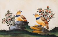 A Set of Twelve Chinese Export Watercolor and Pith Paintings