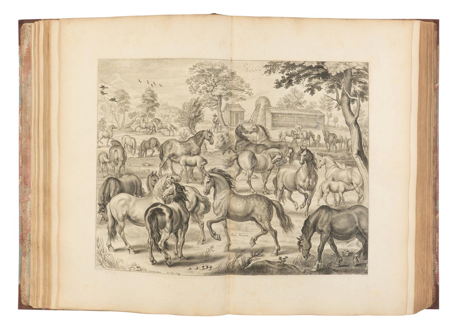 [EQUESTRIAN]. NEWCASTLE, William Cavendish (1592-1676), SAUNIER, Gaspard de (1663-1748), DIEPENBEKE, Abraham van (1596-1675), illustrator. Méthode et Invention Nouvelle de Dresser les Chevaux . London: Chez Jean Brindley, Libraire de S. A. R. Monseigneur le Prince de Galles, dans New Bond-street, 1737.