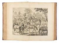 [EQUESTRIAN]. NEWCASTLE, William Cavendish (1592-1676), SAUNIER, Gaspard de (1663-1748), DIEPENBEKE, Abraham van (1596-1675), illustrator. Méthode et Invention Nouvelle de Dresser les Chevaux . London: Chez Jean Brindley, Libraire de S. A. R. Monseigneur le Prince de Galles, dans New Bond-street, 1737.