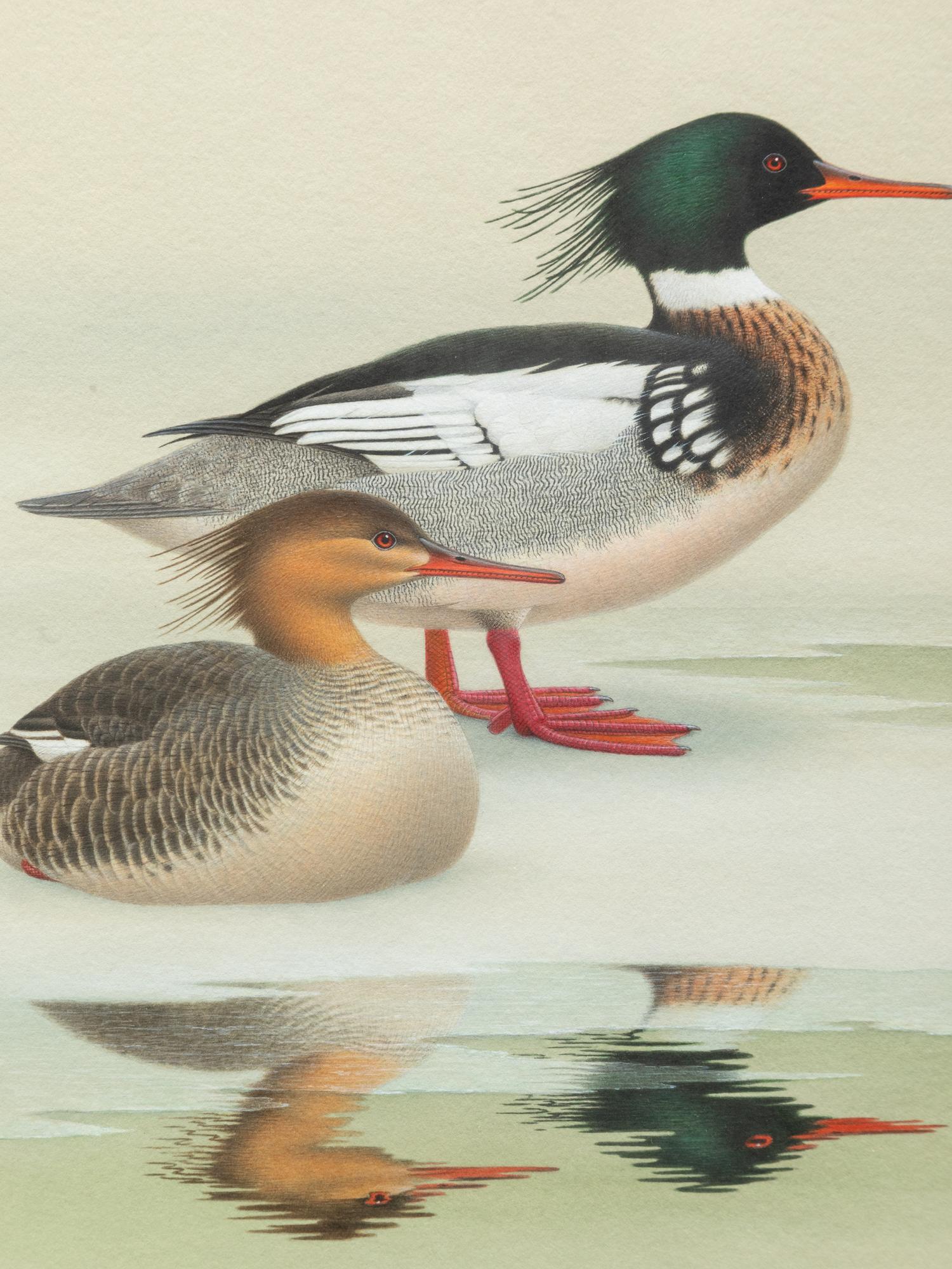 Group of Nine Works, American Bird Series, 1988