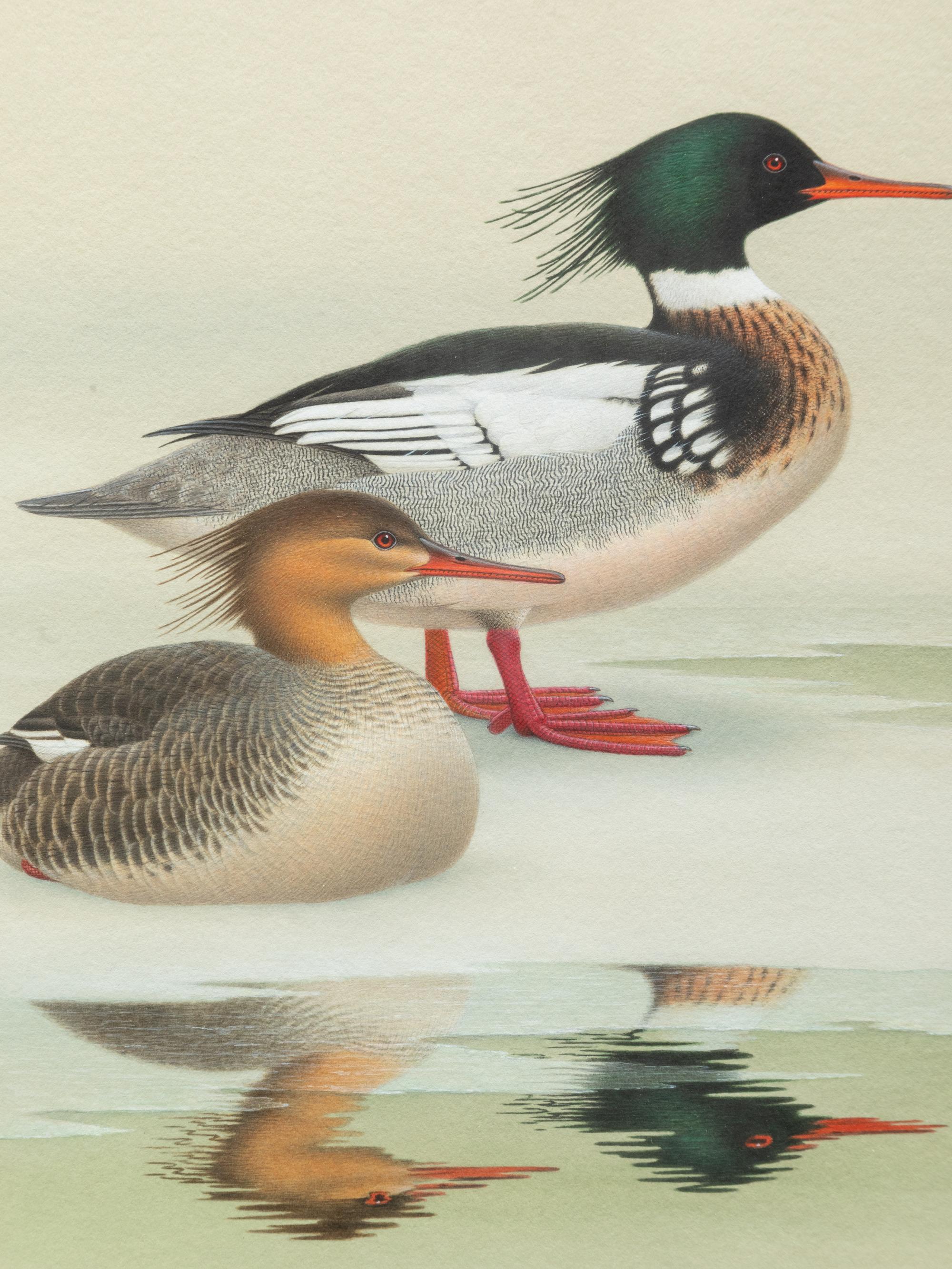 Group of Nine Works, American Bird Series, 1988