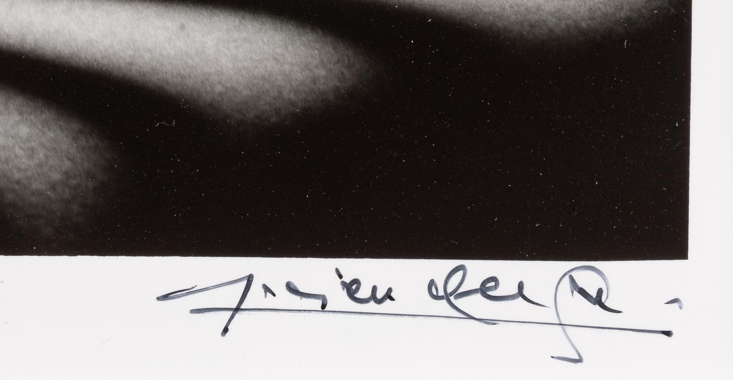 Lucien Clergue (1934-2014) Nu Zèbre, New York, 1997