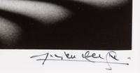 Lucien Clergue (1934-2014) Nu Zèbre, New York, 1997