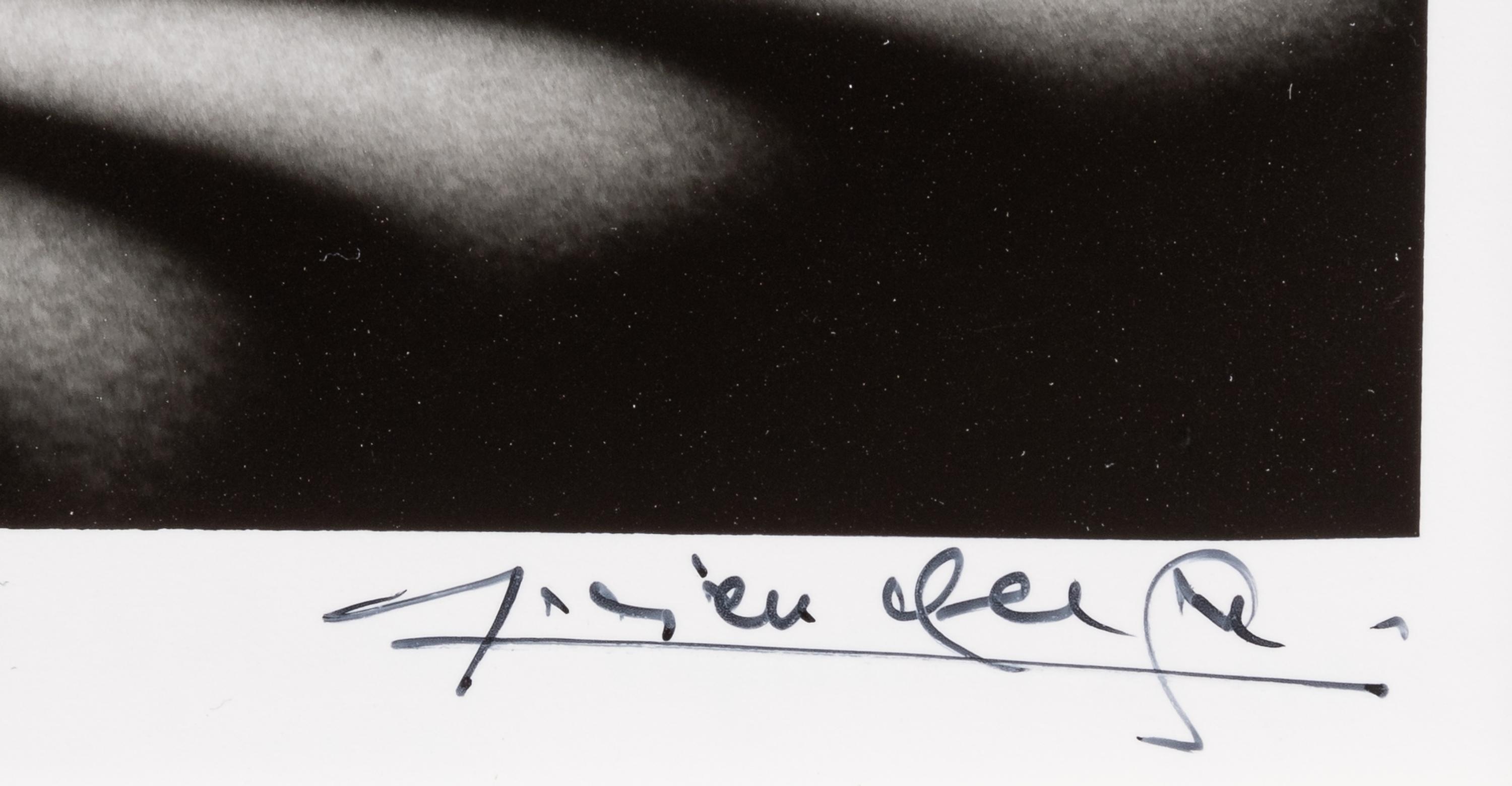 Lucien Clergue (1934-2014) Nu Zèbre, New York, 1997