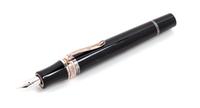 A Stipula Leonard Da Vinci Special Edition Retractable Fountain Pen