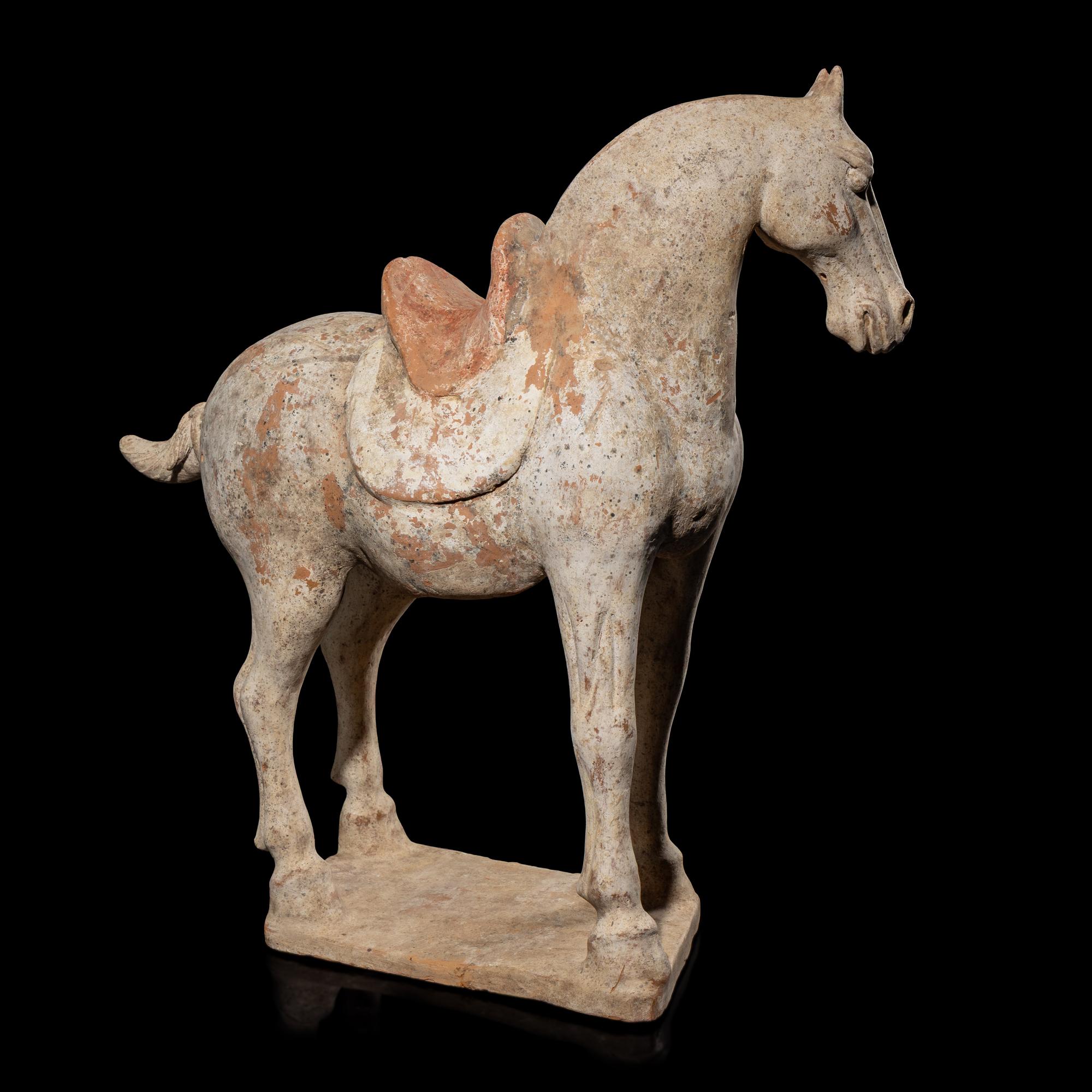 A Chinese Painted Pottery Horse, Tang Dynasty 唐 彩陶馬