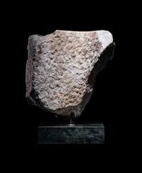 A Roman Marble Sarcophagus Fragment with a Lion