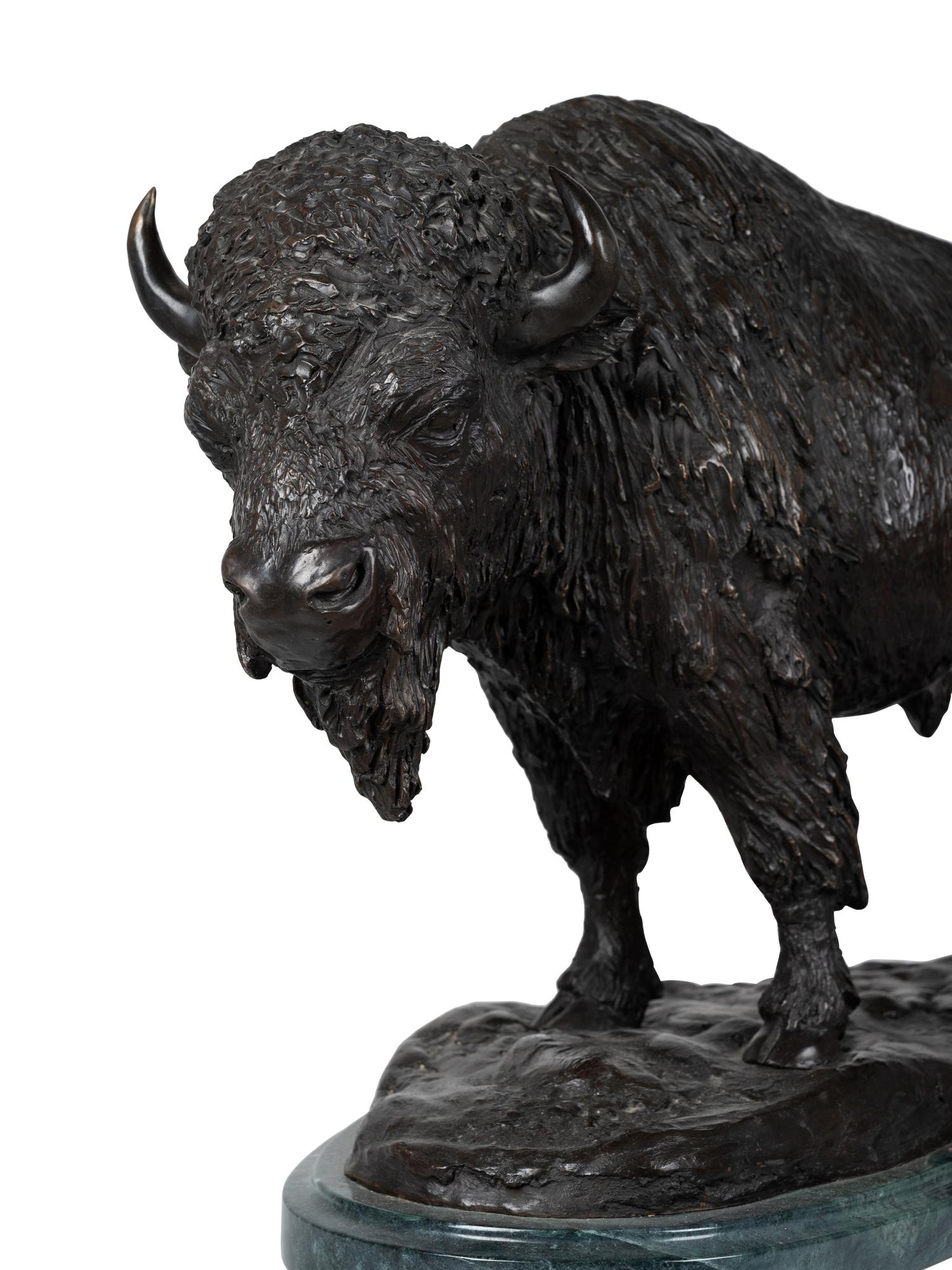 American Bison , edition 6/30