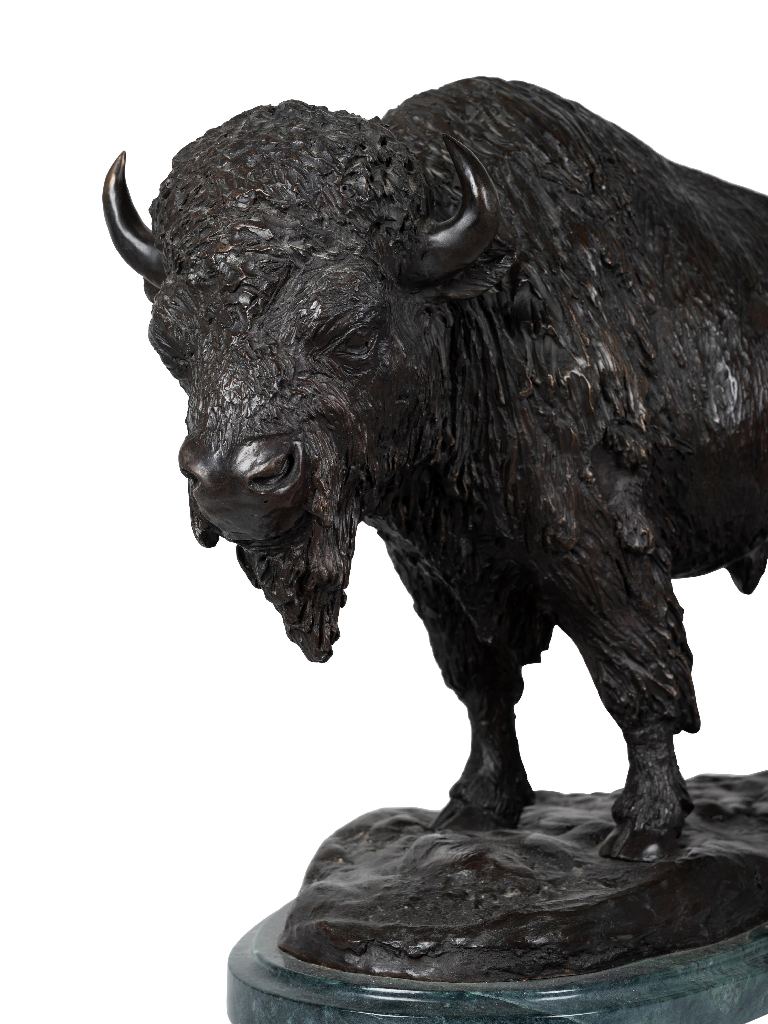 American Bison , edition 6/30