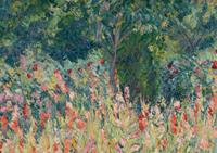 Jardin de Glaïeuls, Giverny, 1928