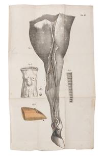 [MEDICINE & SCIENCE]. A group of works. Together 3 volumes.