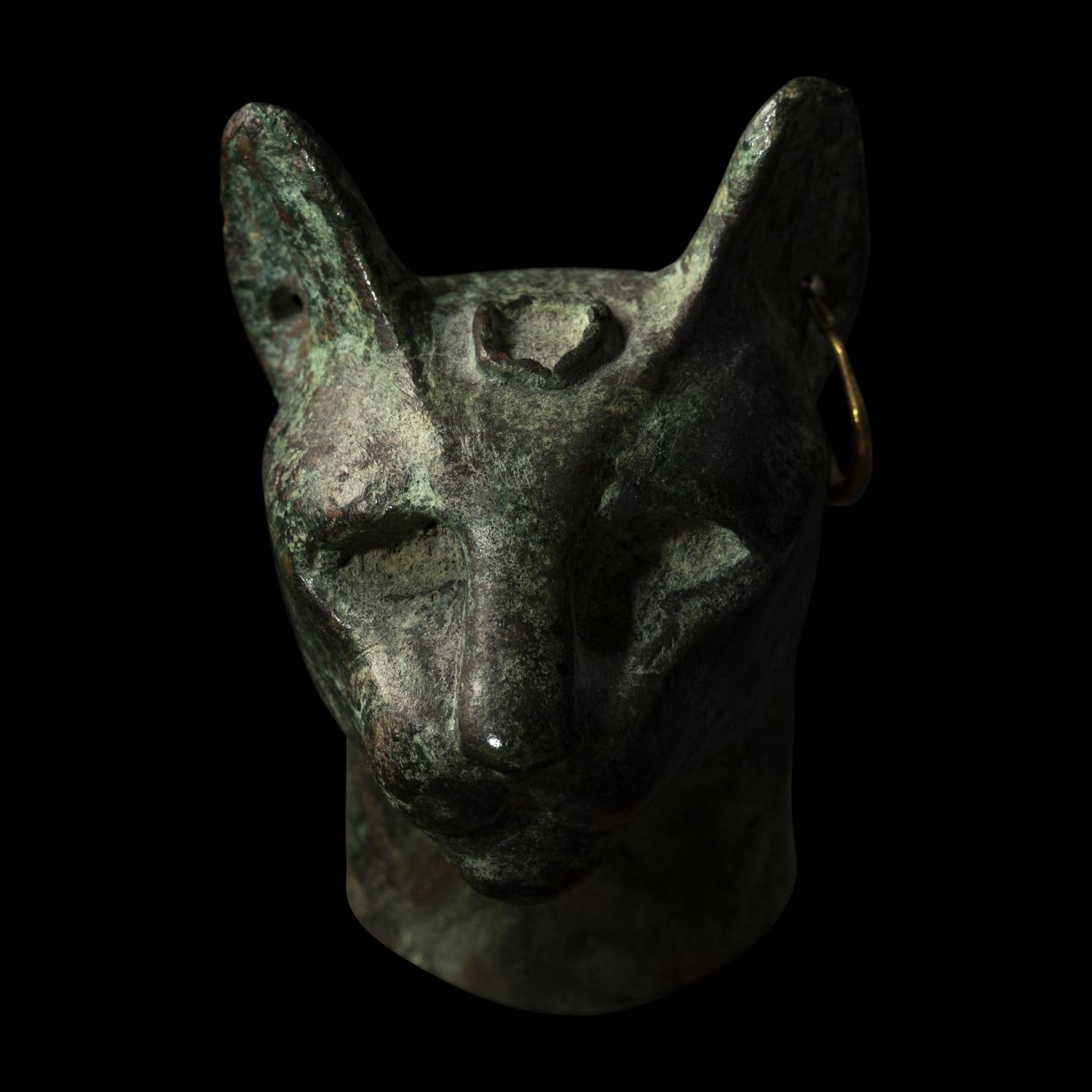 An Egyptian Bronze Head of a Cat