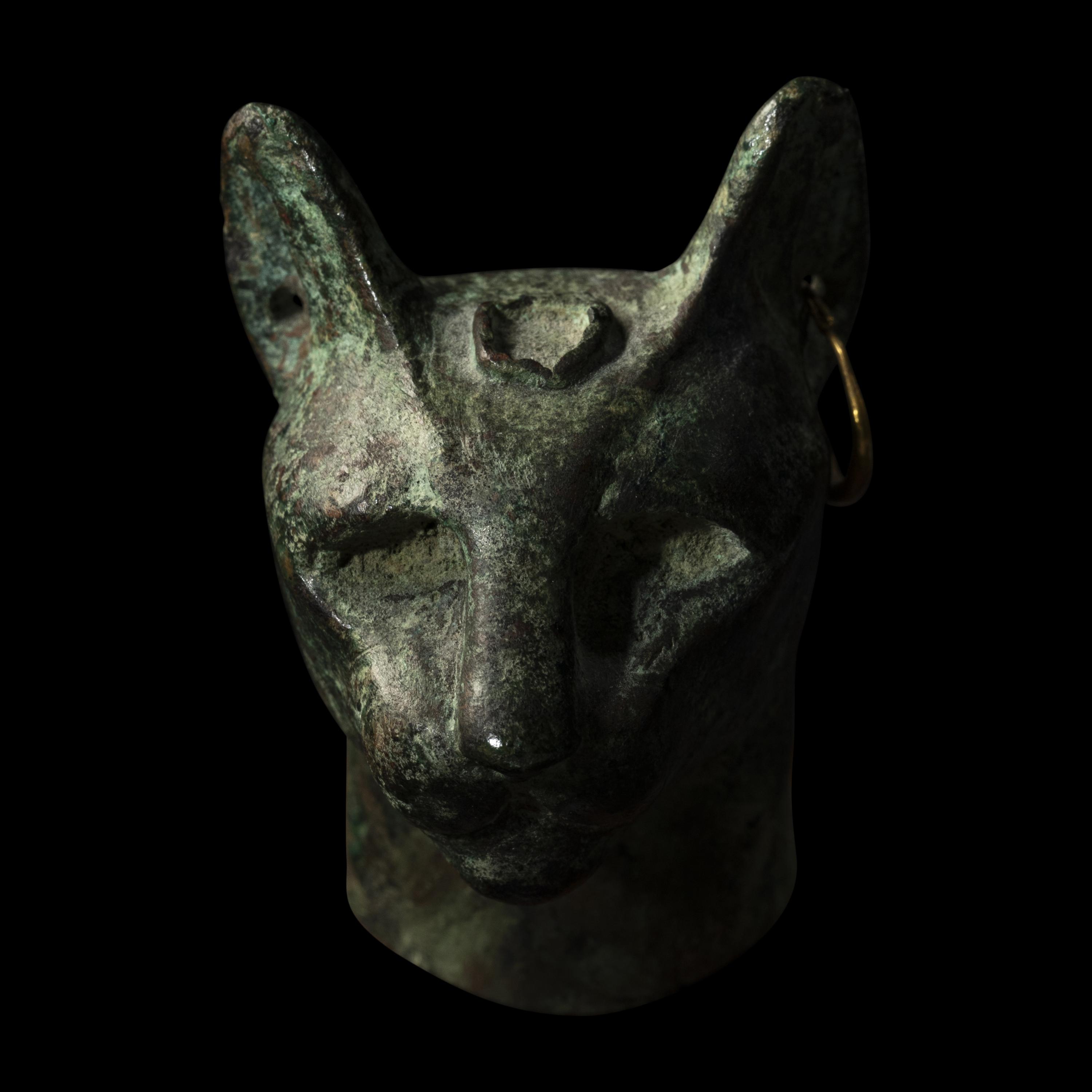 An Egyptian Bronze Head of a Cat