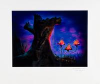 The Enchanted Forest, 2011