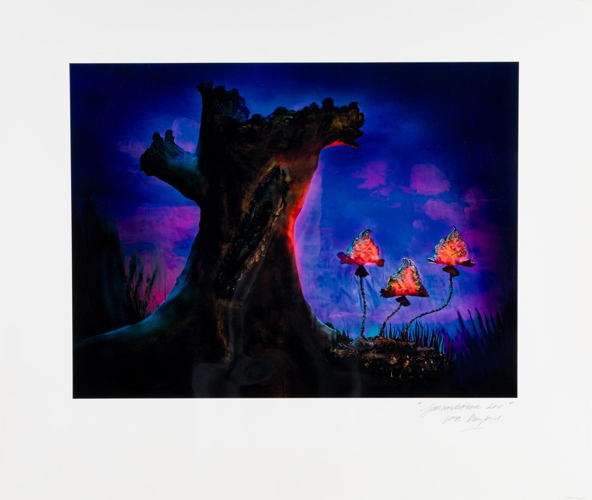 The Enchanted Forest, 2011
