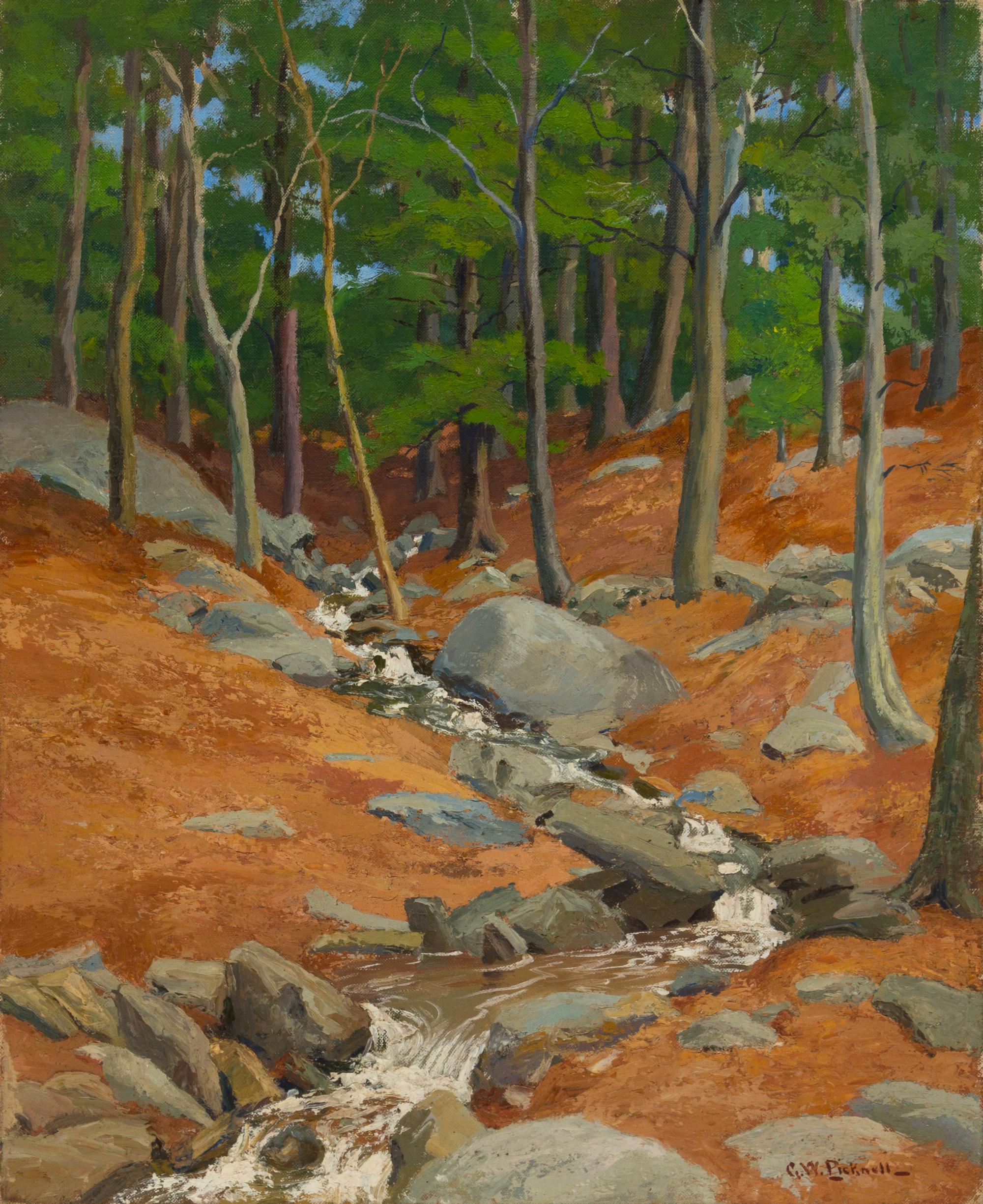 Rocky Landscape with Stream