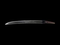 A Wakazashi
