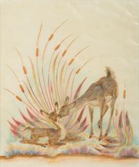 untitled, doe and fawn