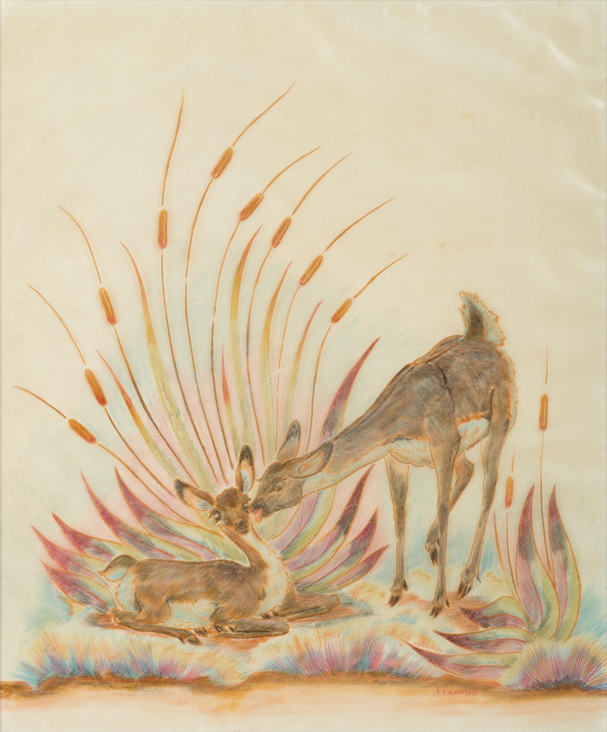 untitled, doe and fawn