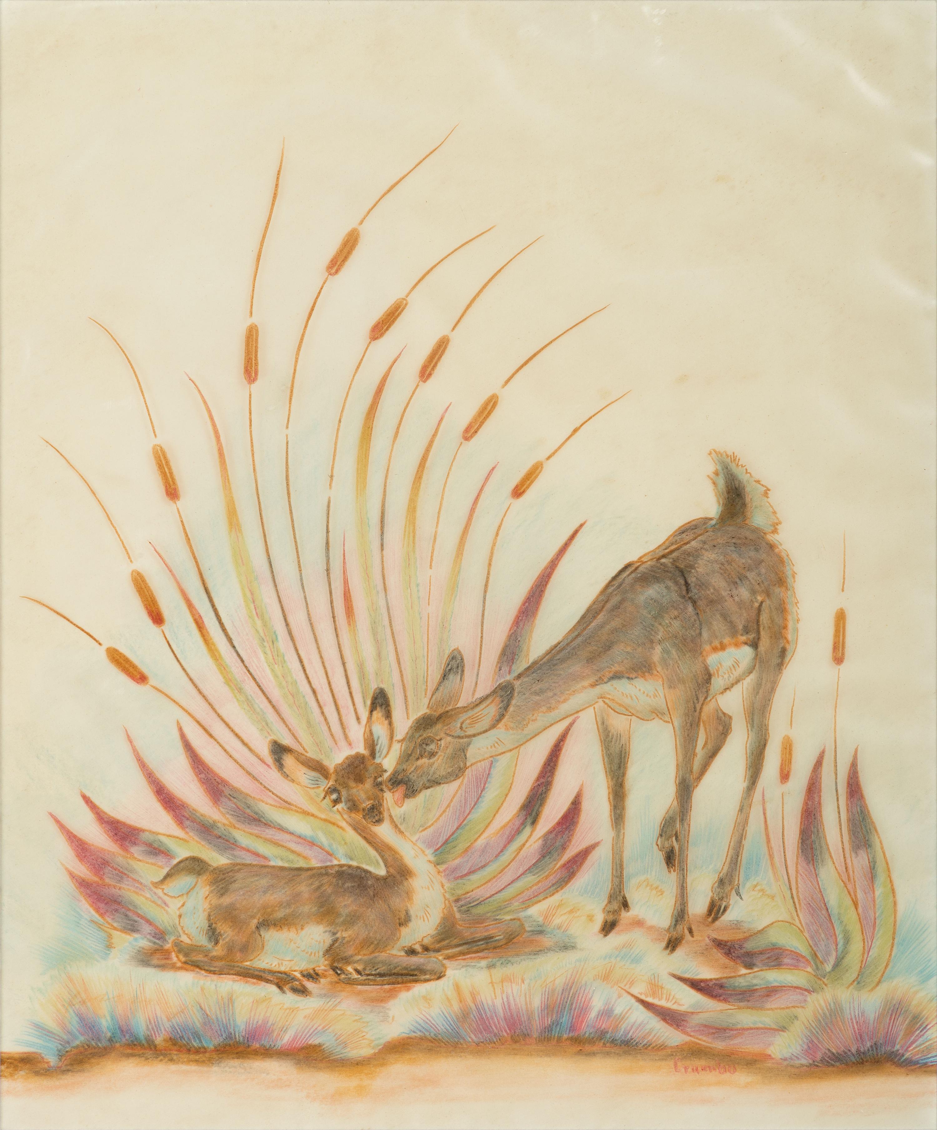 untitled, doe and fawn