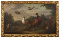 Birds in a Landscape
